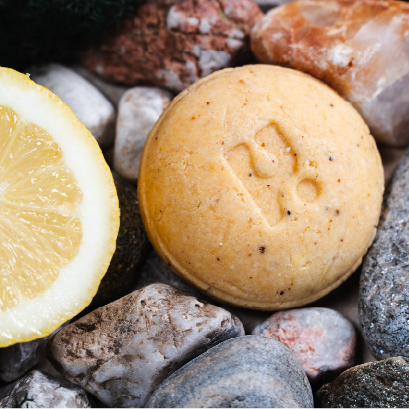 Sun-Kissed - Solid Shampoo Bar - citrus