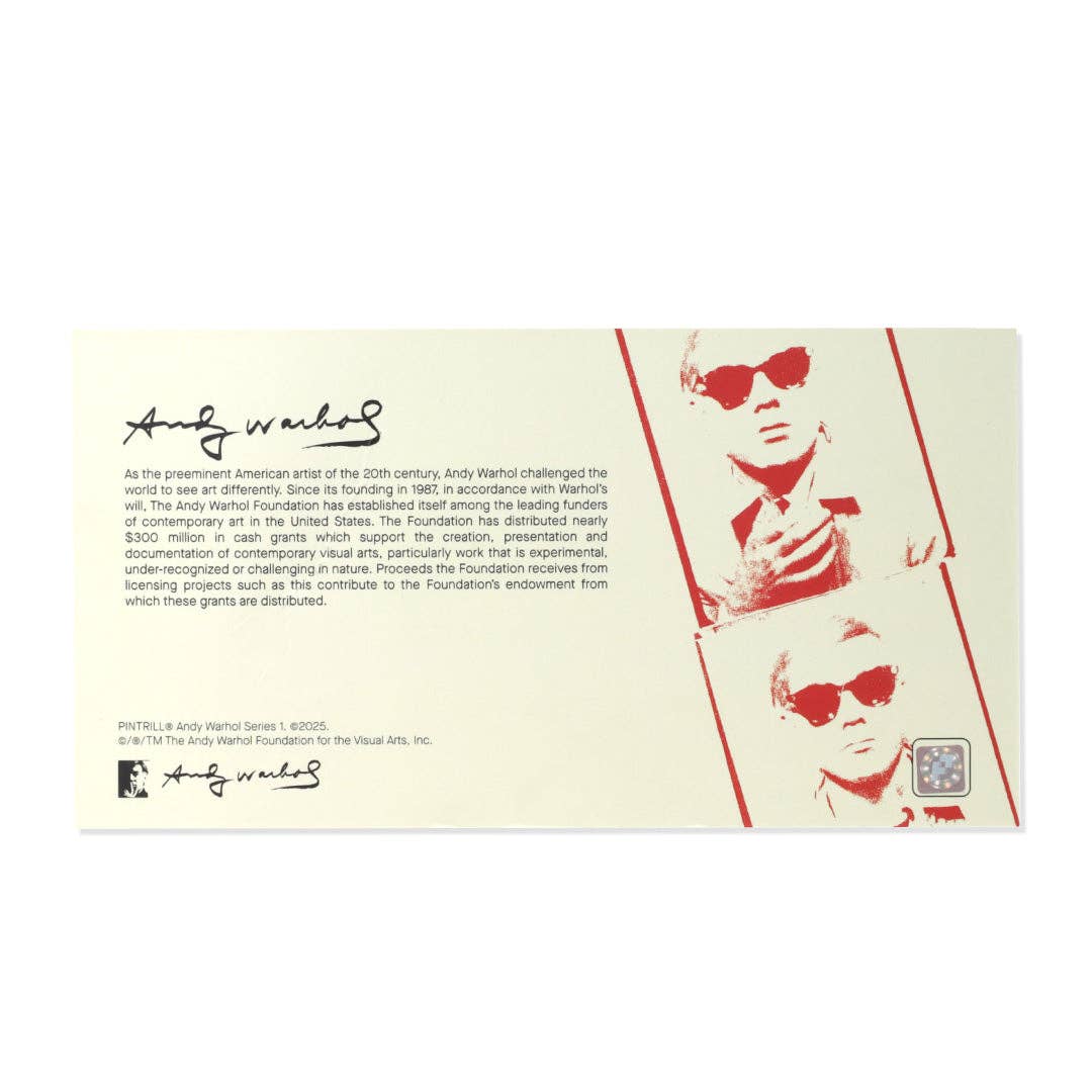 Warhol Dollar Sign PVC Magnet Set