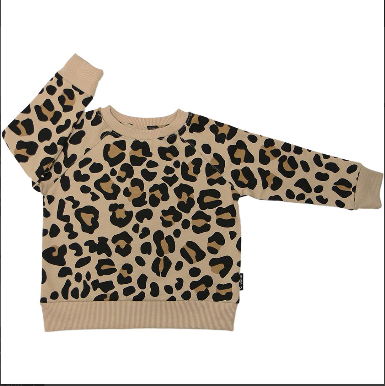 Leopard Print Sweatshirt