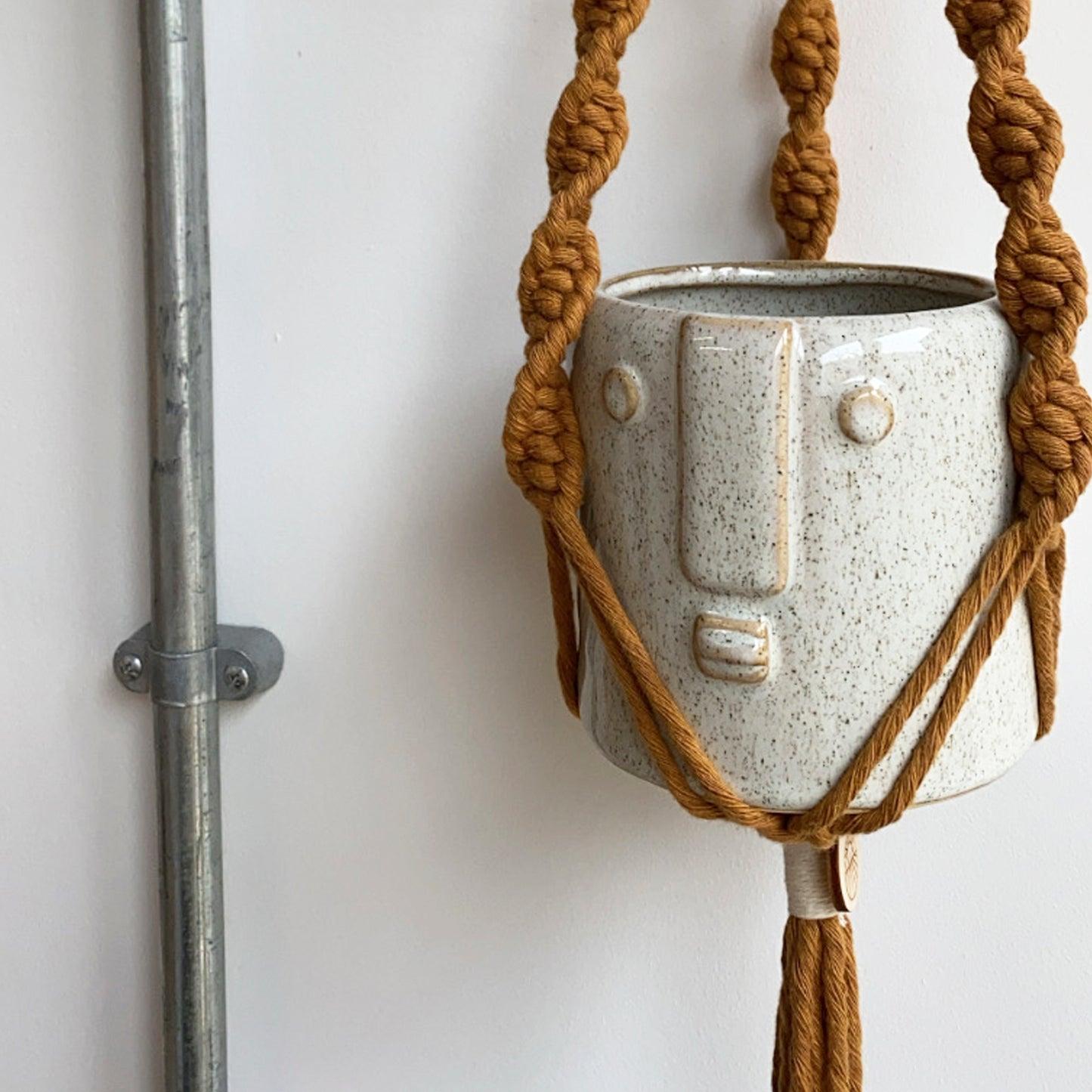 Speckled Face Plant Pot