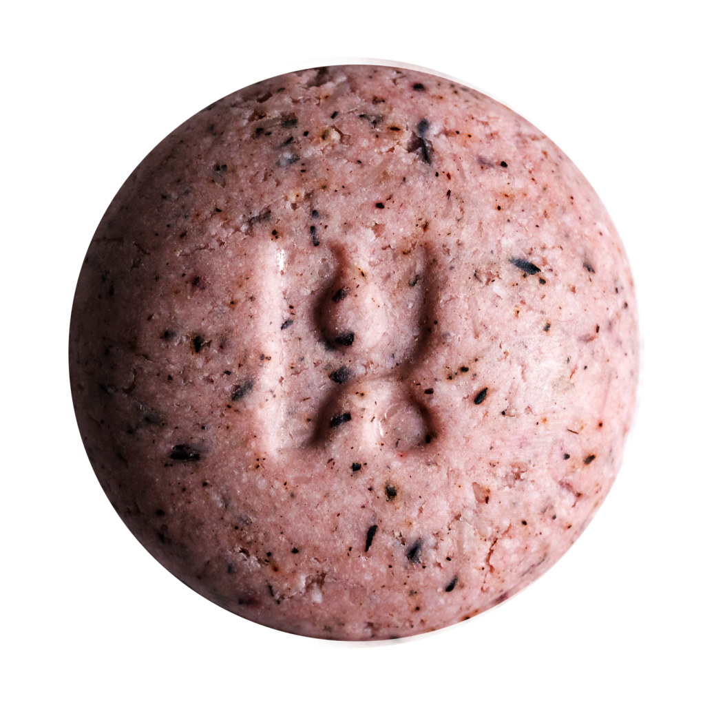 Brainwash - Solid Shampoo Bar