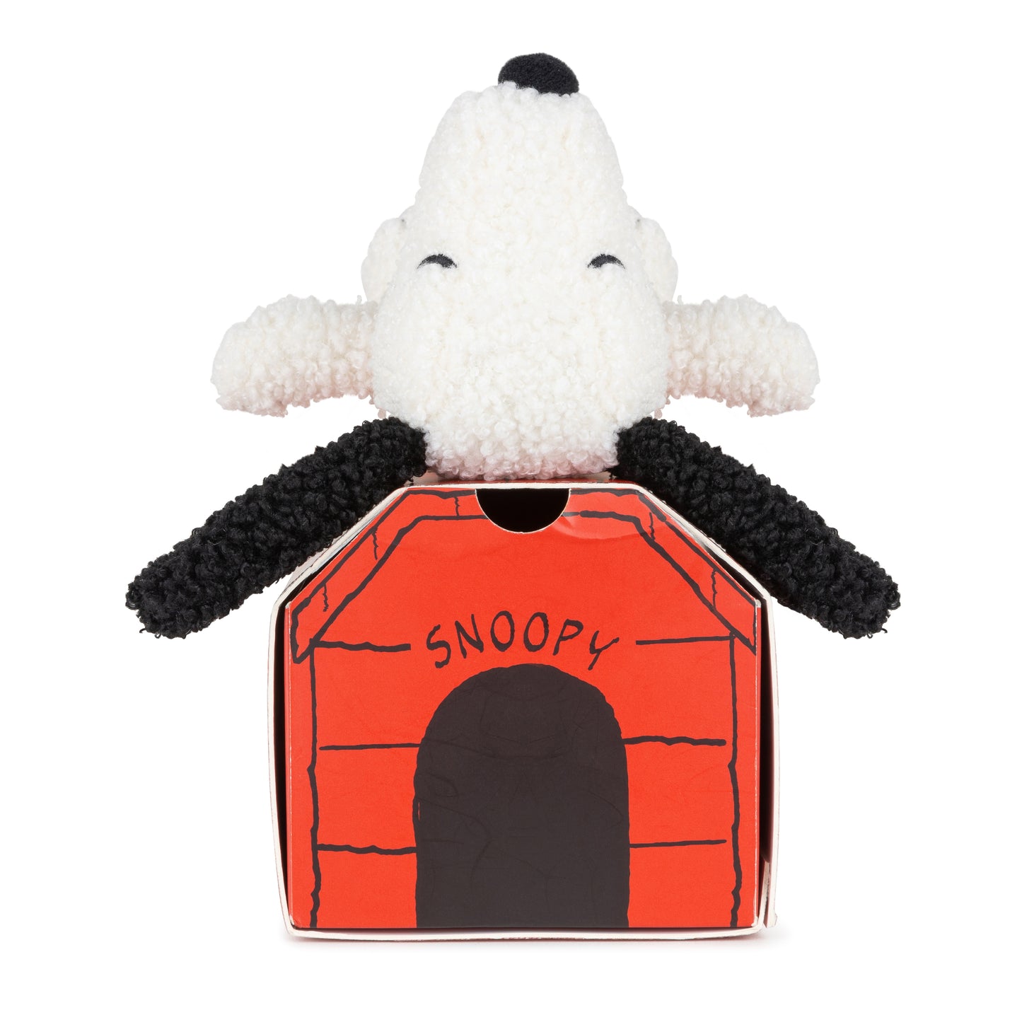 Snoopy in Giftbox