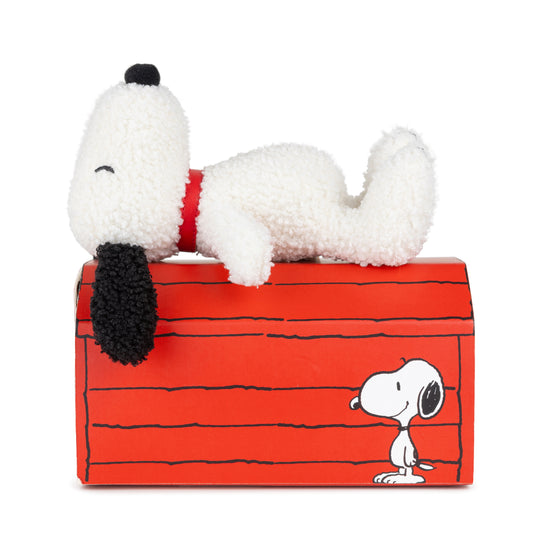 Snoopy in Giftbox