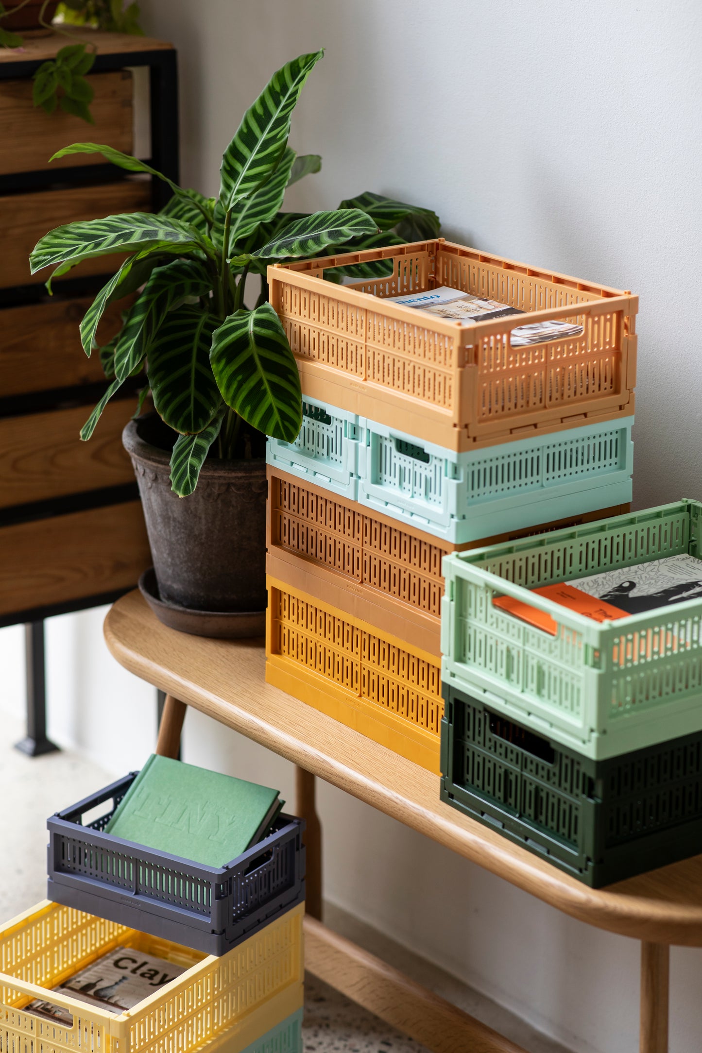 Mini - Foldable Crates