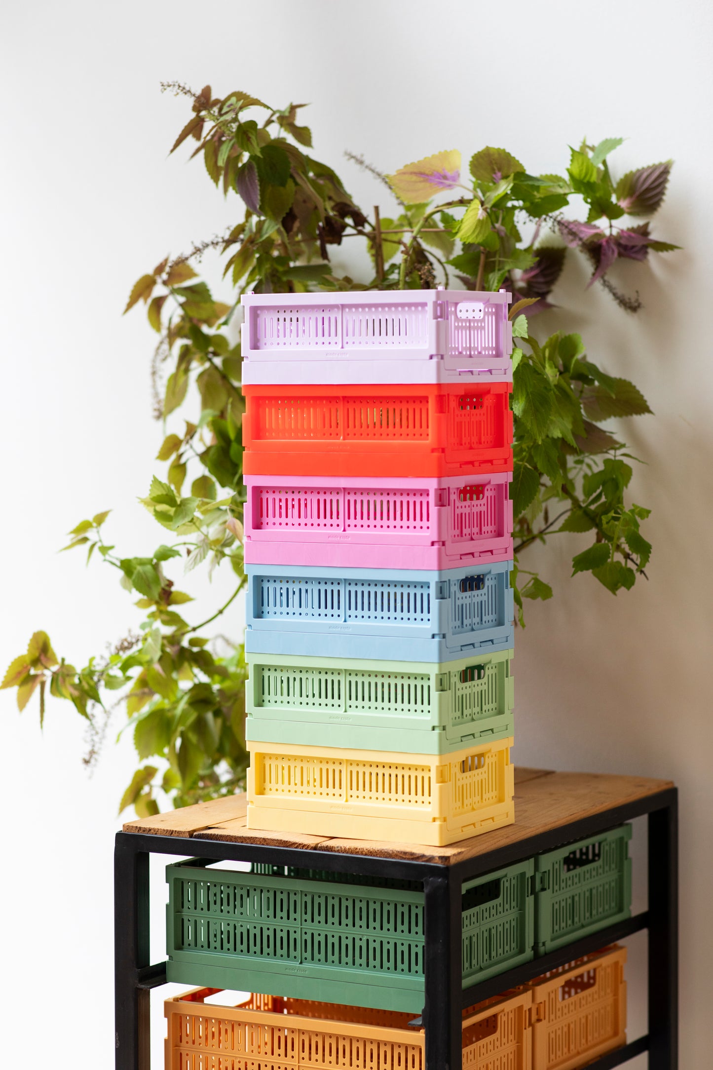 Mini - Foldable Crates