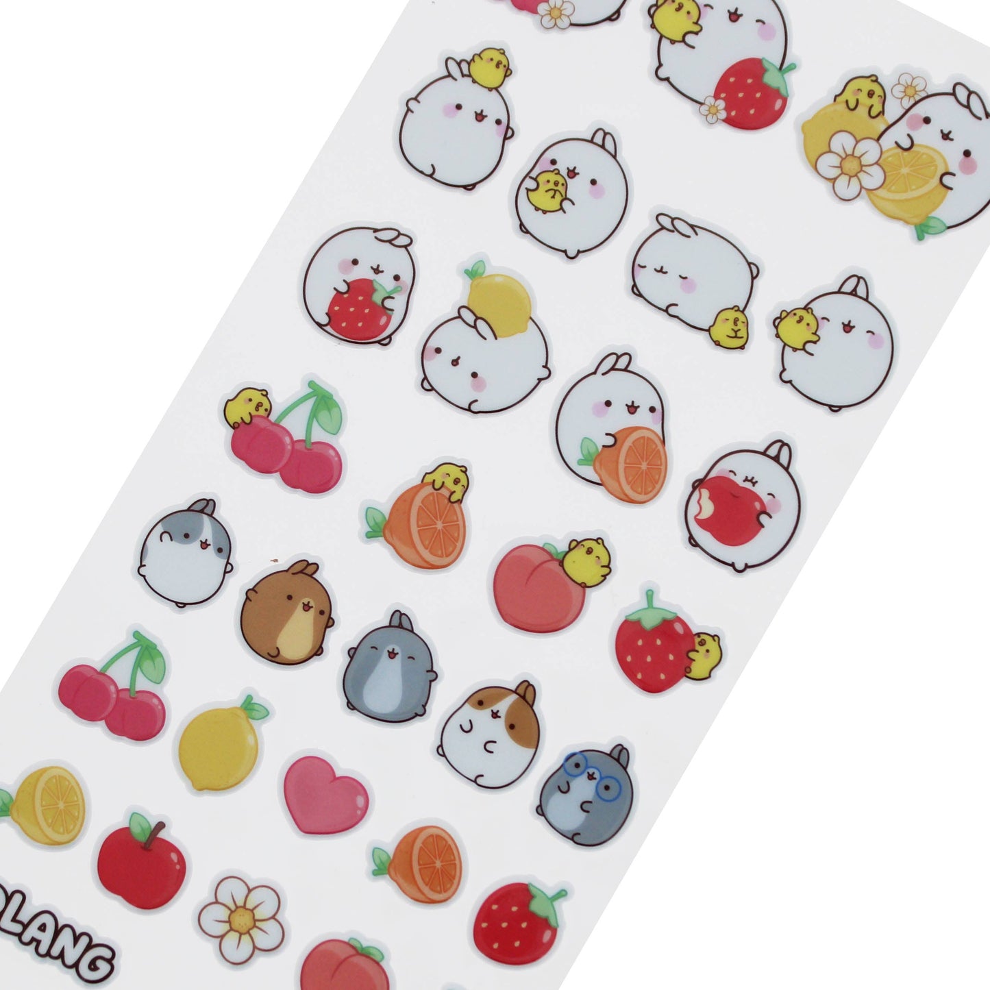 Molang Fruits Stickers