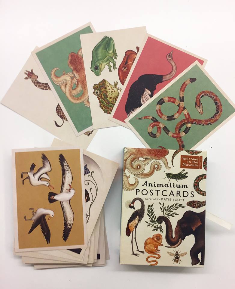 Welcome to the museum | Animalium Postcards