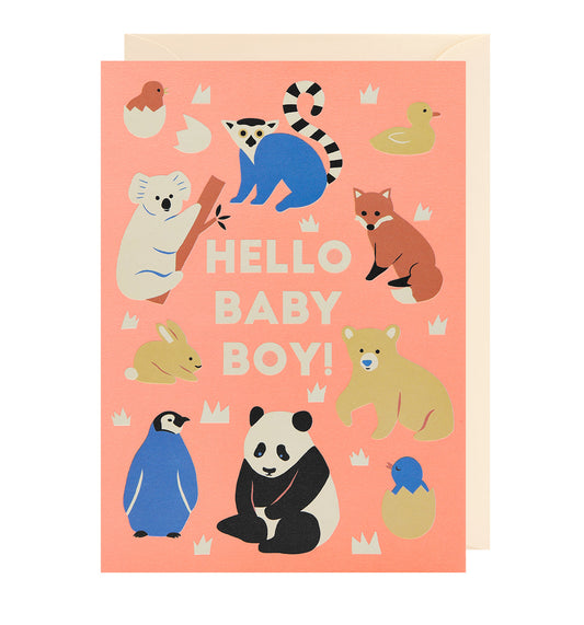 Hello Baby Boy Greetings Card