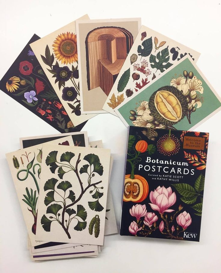 Welcome to the museum | Botanicum Postcards