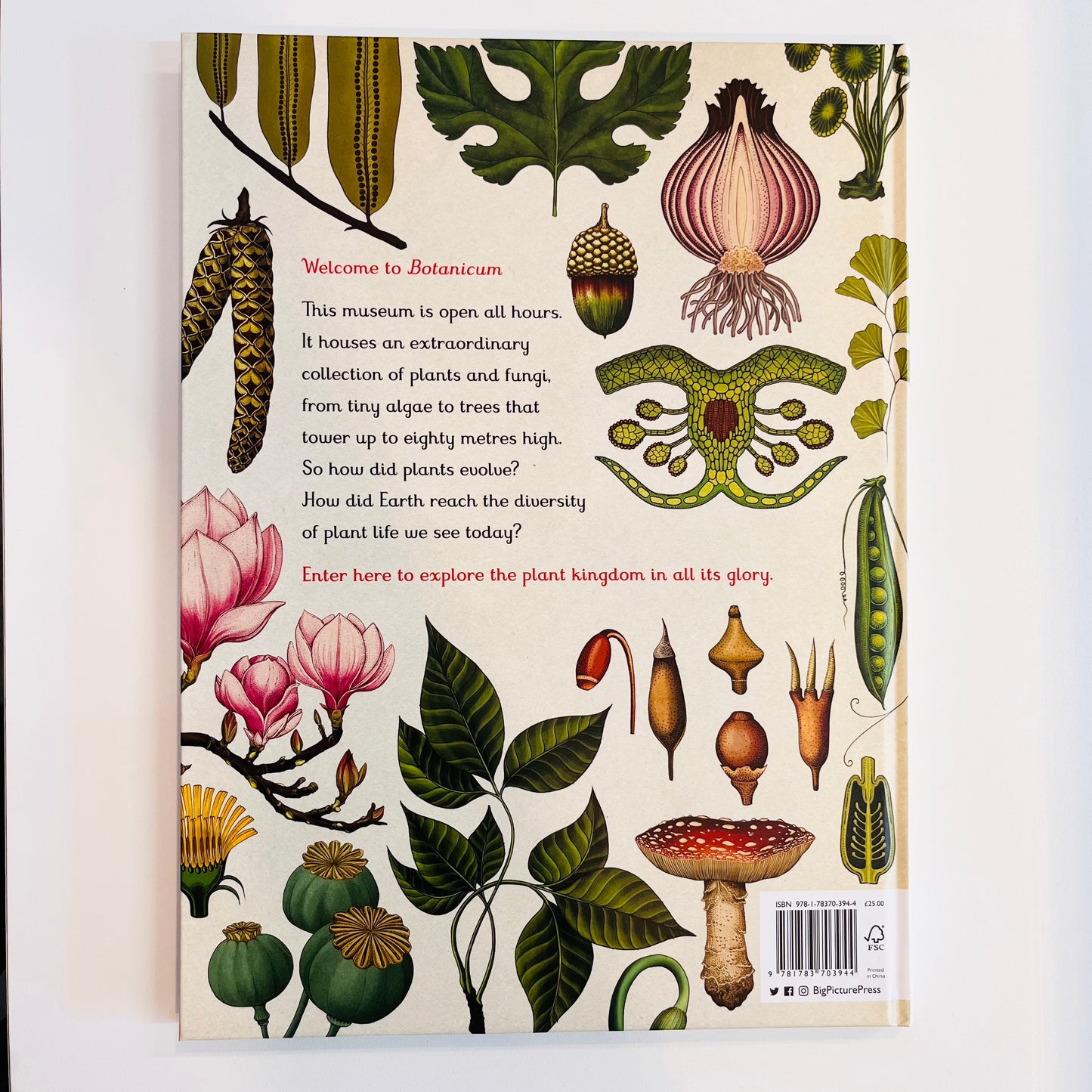 Welcome to the museum | Botanicum Book