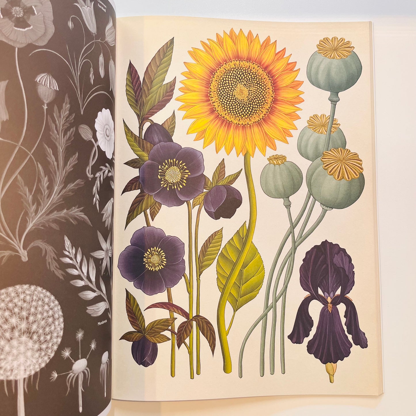 Welcome to the museum | Botanicum POSTER Book