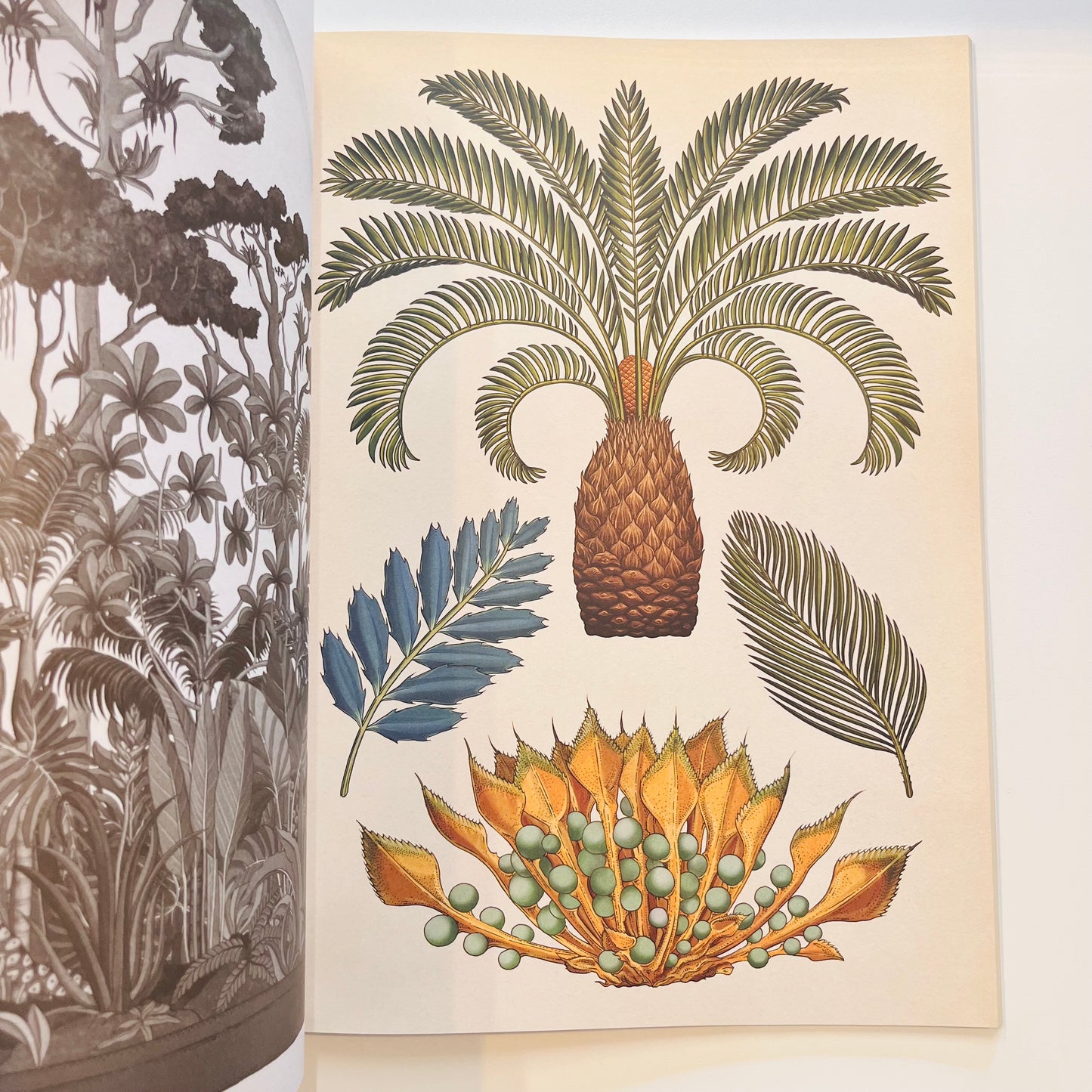 Welcome to the museum | Botanicum POSTER Book