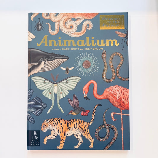 Welcome to the museum | Animalium