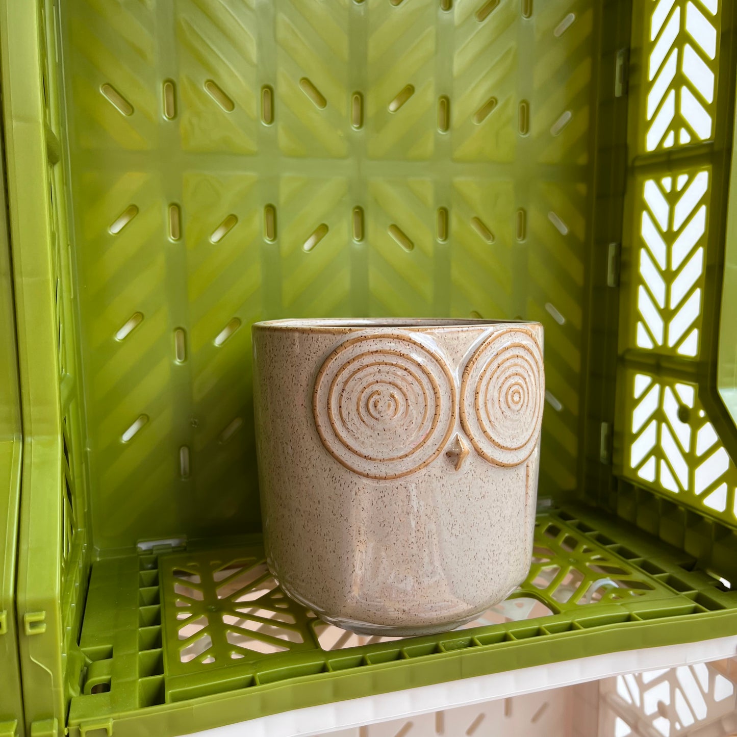 Owl flower pot