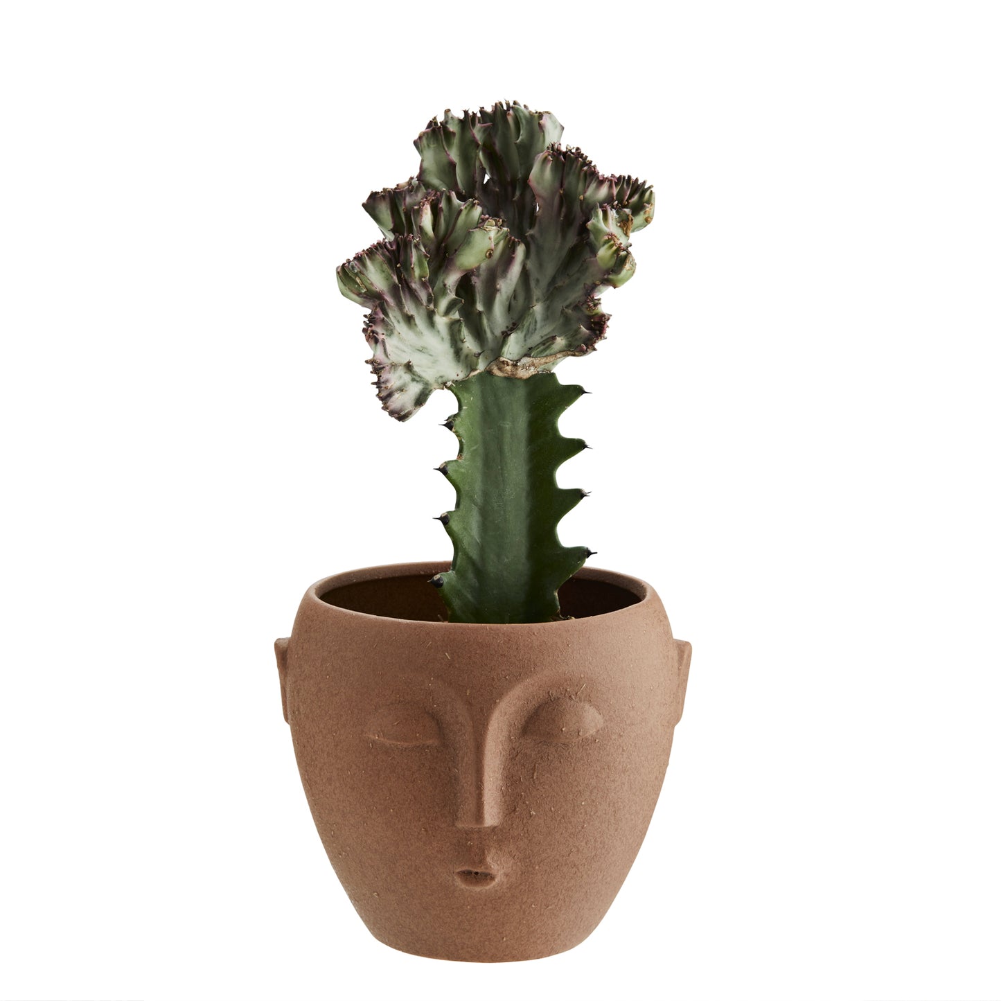 Terracotta Face Plant Pot - Large