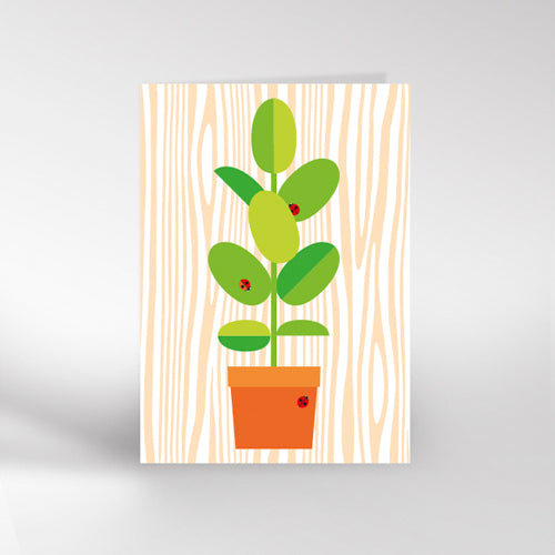 Pot Plant Greetings Card